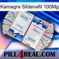 Kamagra Sildenafil 100Mg kamagra1